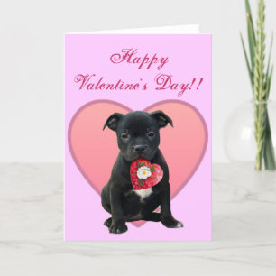 Happy Valentine's Day Pitbull Puppy greeting card