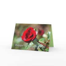 Happy Valentine's Day Red Rose Card