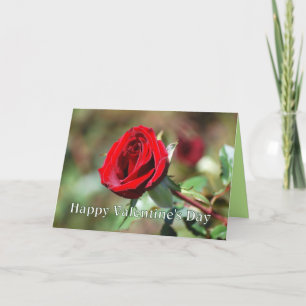 Happy Valentine's Day Red Rose Card