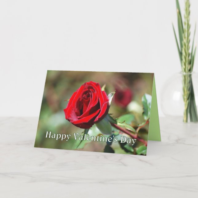 Happy Valentine's Day Red Rose Card (Front)
