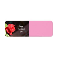 Happy Valentine's Day Rose