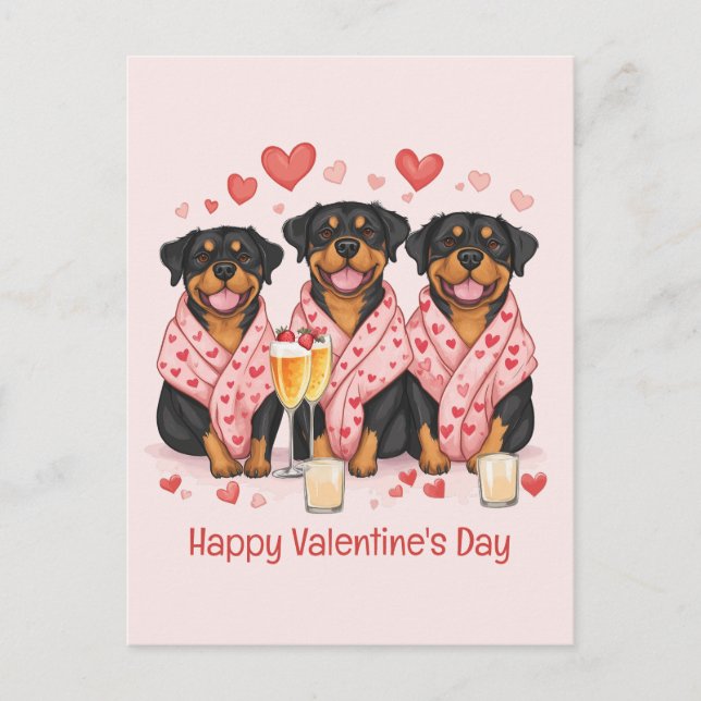 Happy Valentines Day Rottweiler Dogs Postcard (Front)