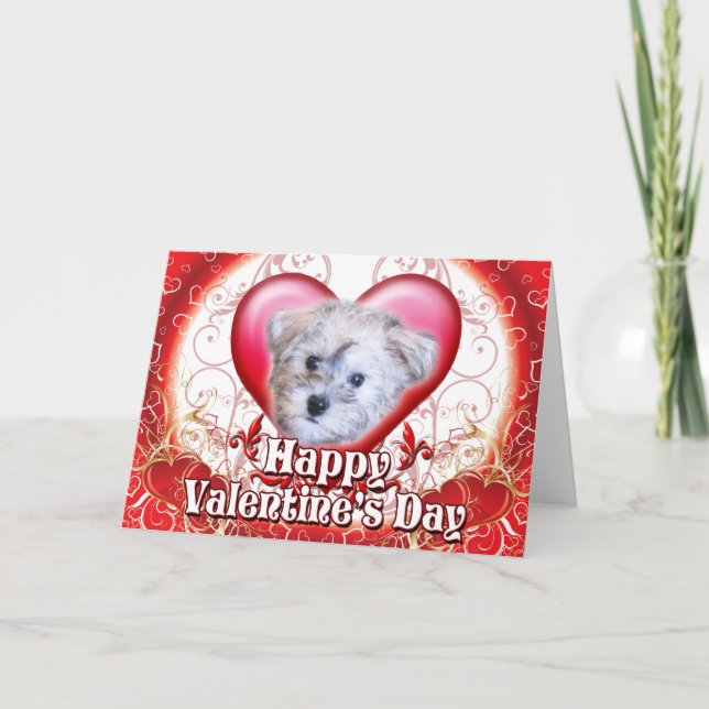 Happy Valentines Day Schnoodle Holiday Card (Front)