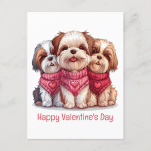 Happy Valentines Day Shih Tzu Dogs Postcard