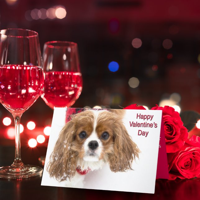 Happy Valentine's Day Sowny Cavalier King Charles Holiday Card (Creator Uploaded)