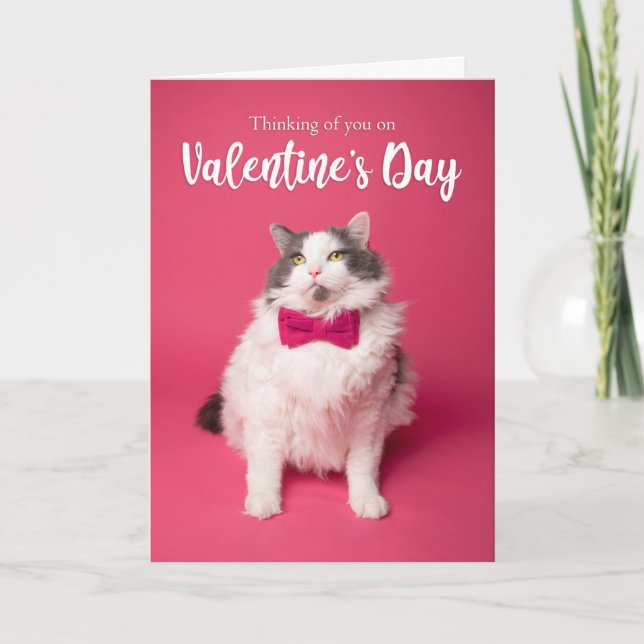 Happy Valentine's Day Thinking of You Cute Cat Holiday Card (Front)