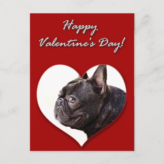 Happy Valentine's  French Bulldog postcard (Front)