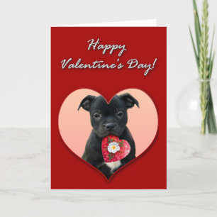Happy Valentine's Staffordshire Bull Terrier Card