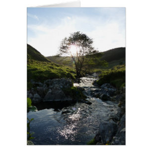 Happy Valley Northumberland, England