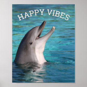 Happy Vibes Smiling Dolphin or Add Your Photo Poster