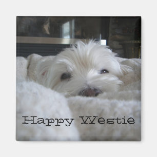 Happy Westie Photo Magnet