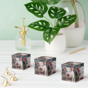 Happy White Pig Tongue Poke, Favour Box