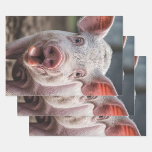 Happy White Pig Tongue Poke,  Wrapping Paper Sheet