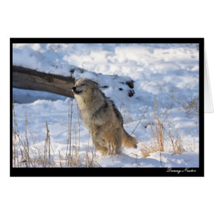 Happy Wolf