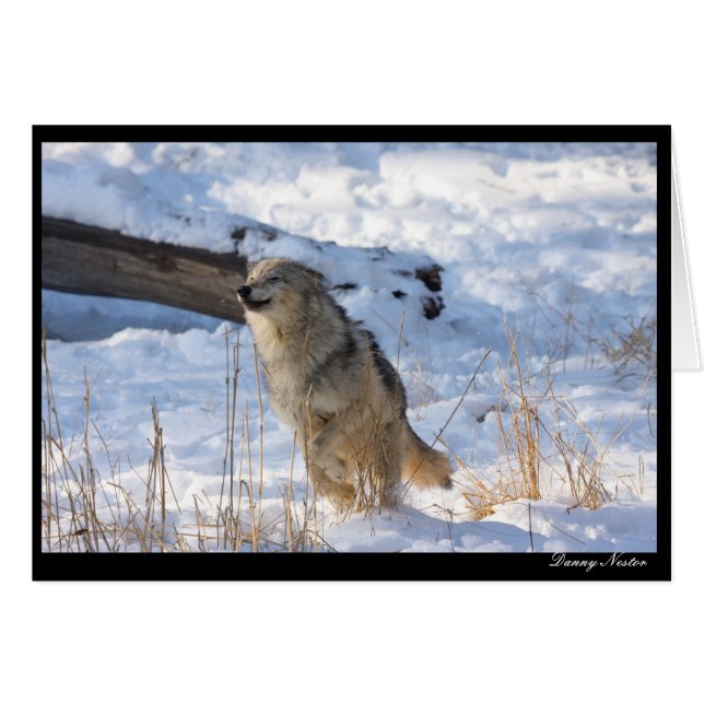 Happy Wolf (Front Horizontal)