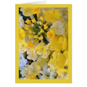Happy Yellow Blooms- Song of Sol. 8:7 Greet. Card