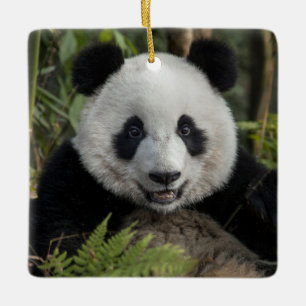 Happy young panda, China Ceramic Ornament