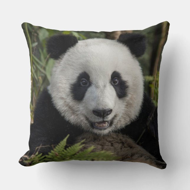 Happy young panda, China Cushion (Front)