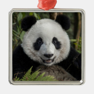 Happy young panda, China Metal Tree Decoration