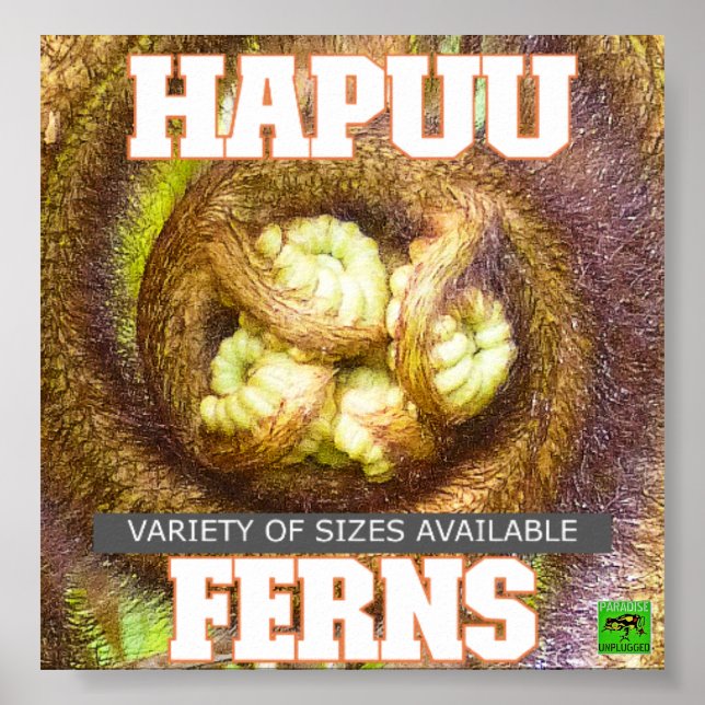 HAPUU FERNS BIG ISLAND HAWAII POSTER (Front)