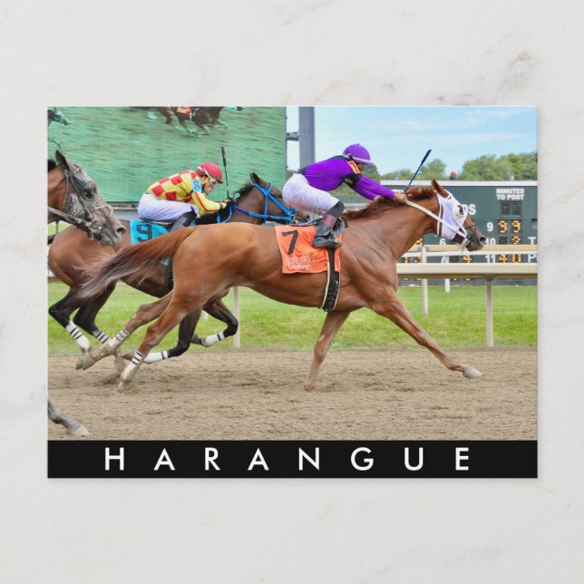 Harangue Postcard (Front)