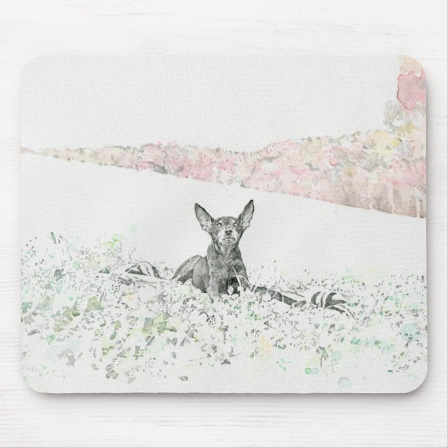 harbal memory mouse pad (Front)
