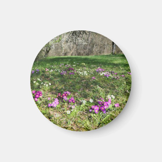 Harbinger of Spring  Magnet (Front)