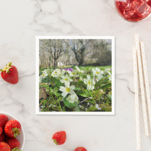 Harbinger of Spring Paper Napkins
