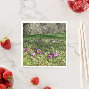 Harbinger of Spring Paper Napkins