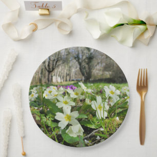 Harbinger of Spring Paper Plate