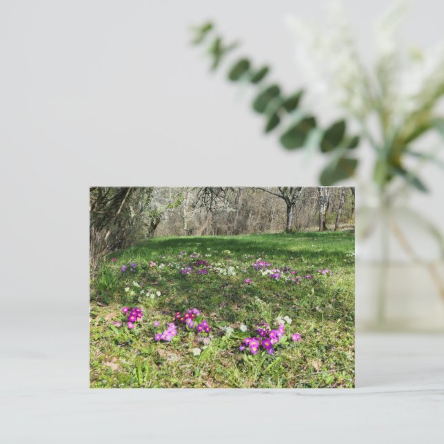 Harbinger of Spring  Postcard (Standing Front)