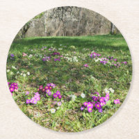 Harbinger of Spring