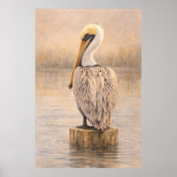 Harbor Pelican | Coastal Wildlife Art | Poster