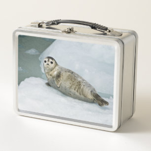 Harbor Seal Metal Lunch Box