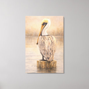 Harbour Pelican   Coastal Wildlife Art   Stretched Canvas Print