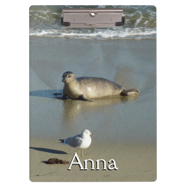 Harbour Seal at La Jolla California Clipboard (Front)