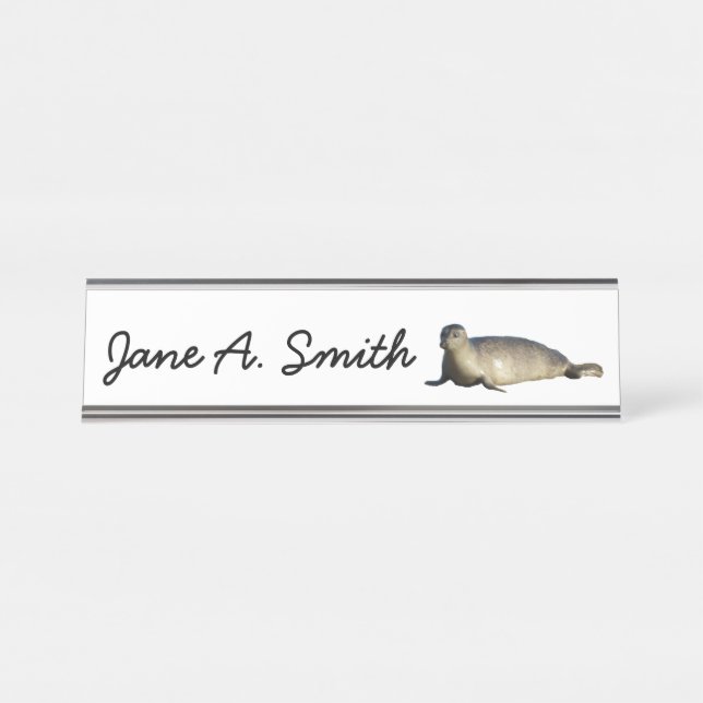 Harbour Seal at La Jolla California Desk Name Plate (Front)
