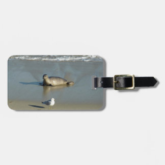 Harbour Seal at La Jolla California Luggage Tag