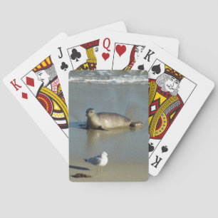 Harbour Seal at La Jolla California Playing Cards