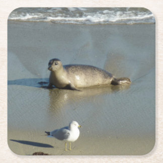 Harbour Seal at La Jolla California Square Paper Coaster