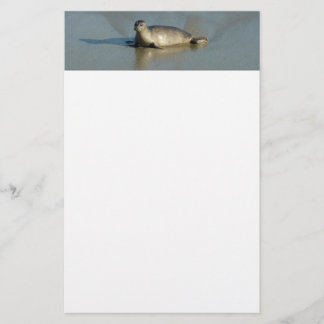 Harbour Seal at La Jolla California Stationery
