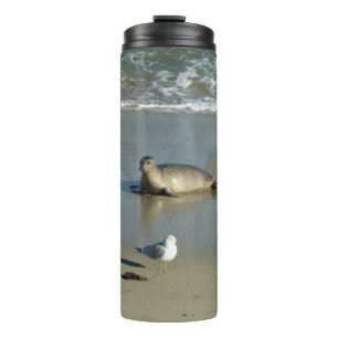Harbour Seal at La Jolla Thermal Tumbler