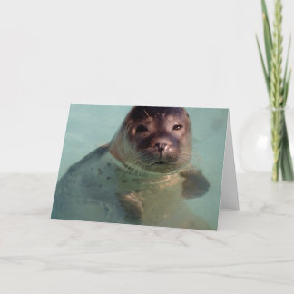 Harbour Seal Greeting Card