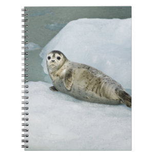 Harbour Seal Notebook