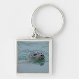 Harbour Seal swimming in Jokulsarlon glacial lake Key Ring