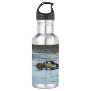 Harbour seal water bottle