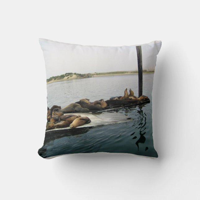 Harbour Seals, Morro Bay, California Cushion (Front)