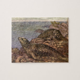 Harbour Seals, Vintage Marine Life Ocean Animals Jigsaw Puzzle