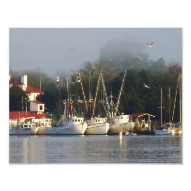 Harbour Shrimp Boats at Morning Photo Print (Front)