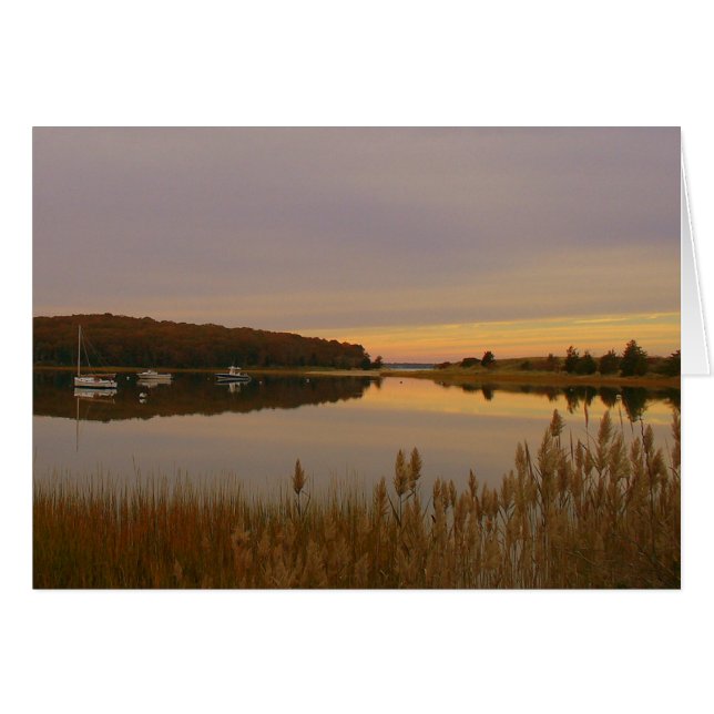 harbour sunset (Front Horizontal)